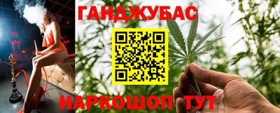 молекула духа Будённовск