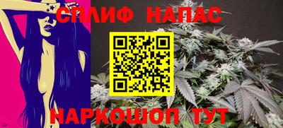 apvp Гагарин