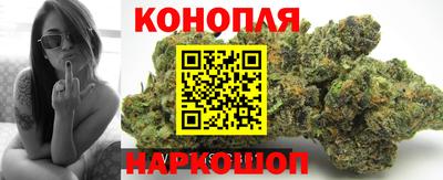 гидропоника Бузулук