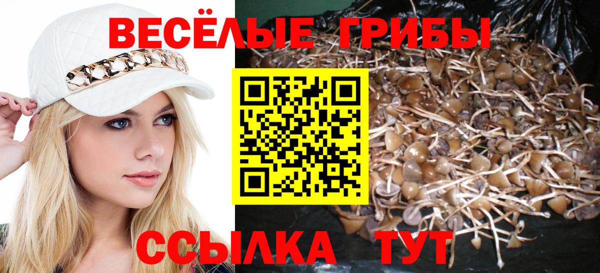 Галлюциногенные грибы Cubensis  Псилоцибиновые грибы мухоморы  Заринск  Вход с VPN 